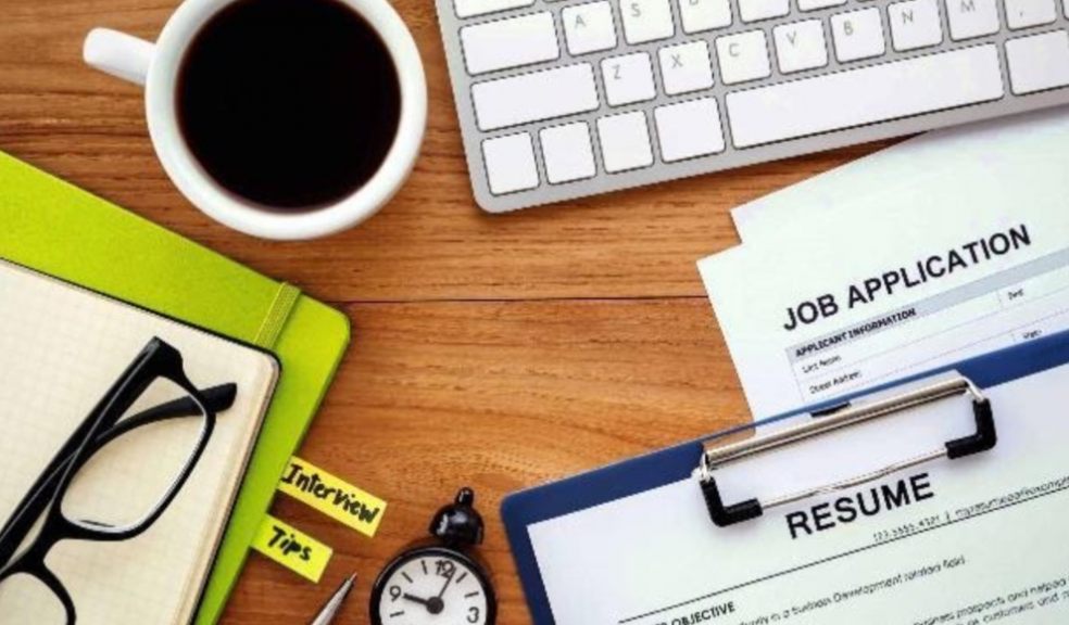 Cheap resume writing Cheap resume writing